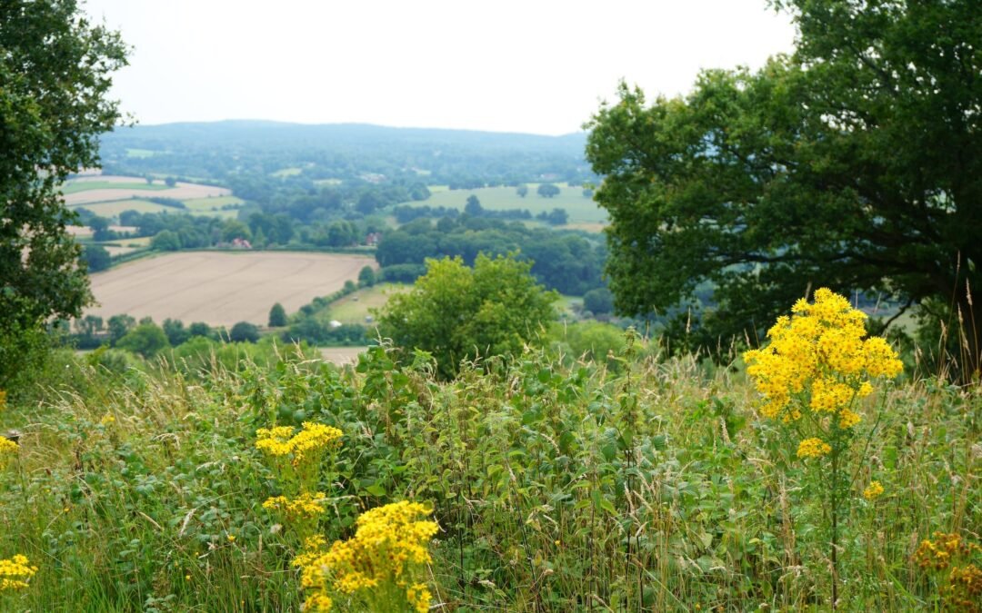 We always have time for new patients in Cobham